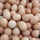 農(nóng)家雞蛋