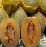 新疆哈密瓜
