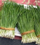 香蔥