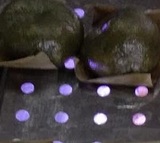 稿菜粑