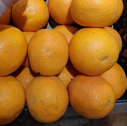 橙子
