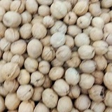 薄皮核桃干