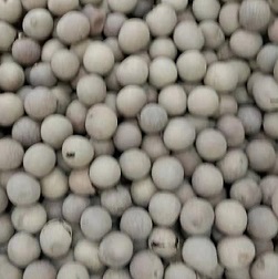 桂圓干