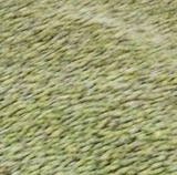 綠豆