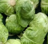 牛心包菜