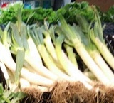 大蔥